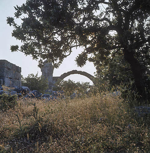 Remains of Roman baths and gymnasium, Troas, Turkey