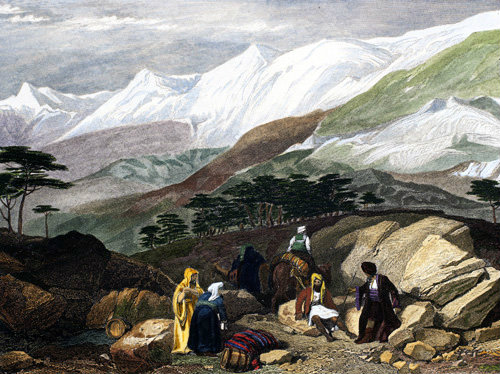 Turkey, the Cedars of Lebanon 1840 engraving painted by Laura Lushington
