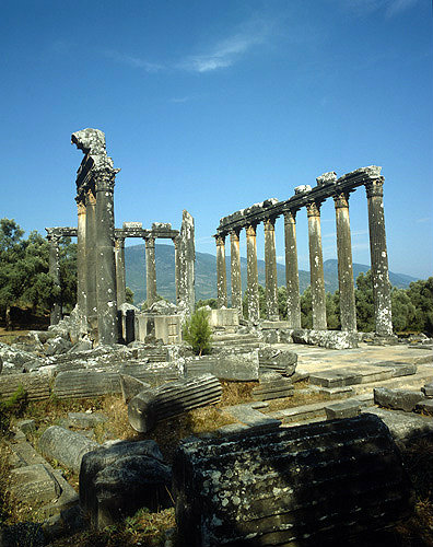 Turkey, Euromus, Caria, Anatolia, Temple of Zeus early 2nd century AD
