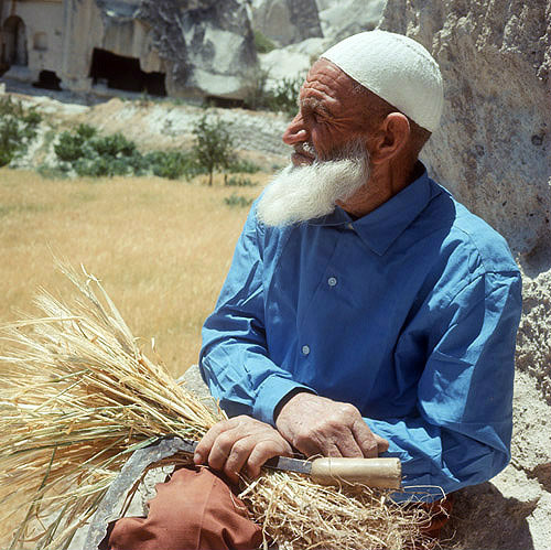 Farmer holding sickle with serrated edge, used to pull wheat or corn up by the roots, Cappadocia, Turkey