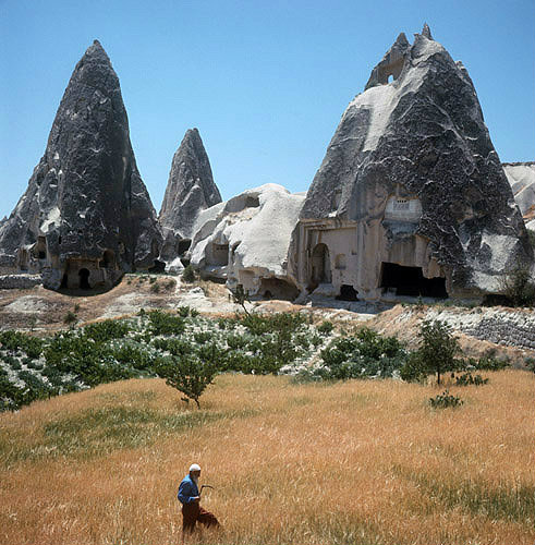 Farmer in wheat field amongst cone dwellings of Cappadocia, Turkey
