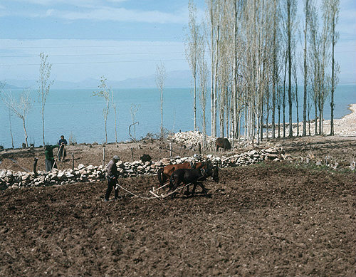 Ploughing on the shores of Lake Egridir, Pisidia, Turkey