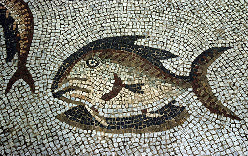 Turkey, Anazarbus, fish from the Thetis mosaic