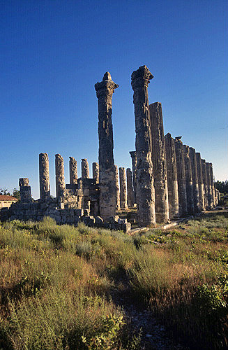 Temple of Zeus Olbius, first Corinthian temple, founded by Seleucus I Nicator, early third century BC, Uzuncaburc, Diocaesarea, Turkey
