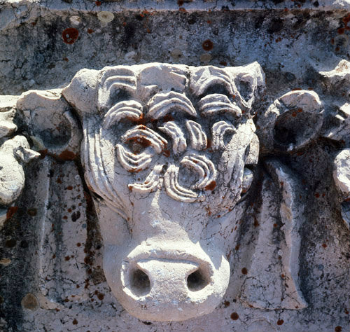 Turkey Antioch in Pisidia, sculpted bull