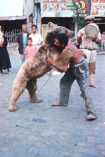 Turkey, gypsy wrestling with his bear