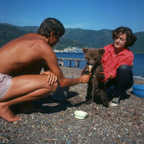 Turkey, Marmaris, young bear eating ice cream on a beach