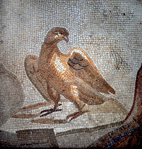 Eagle, third century mosaic, detail from Orpheus charming the beasts, from Tarsus, Archaeological Museum, Antioch, Turkey