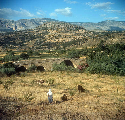Workers in the fields, Taurus mountains behind, and Selcuk bridge, Cilicia, Turkey