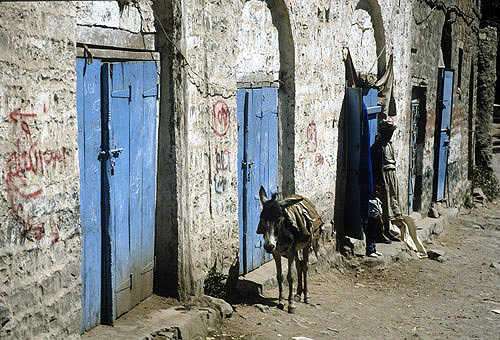 Donkey and man, Jibla, Yemen