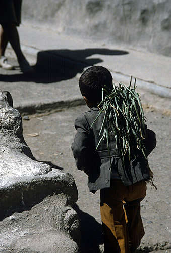 Child carrying vegetables, Jibla, Yemen