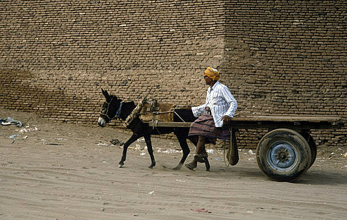 Man with donkey and cart, Beit al Fakih, North Yemen