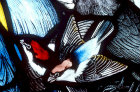 Woodchat Shrike, Gilbert White Memorial Window of St Francis and the birds, Gascoyne and Hinks 1920, St Mary