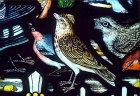 Skylark, Chaffinch and Nightjar, Gilbert White Memorial Window of St Francis and the birds Gascoyne and Hinks 1920, St Mary