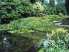 Corner of water garden at Cliveden House, Buckinghamshire, England