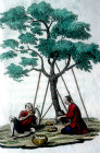 Two Chinese people having a picnic under a tree, Chinese engraving, 1811