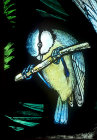 Bluetit, Gilbert White Memorial Window of St Francis and the birds, Gascoyne and Hinks 1920, St Mary