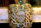 Green Man roof boss, carved in wood, on nave ceiling, Church of St Andrew, South Tawton, Devon, England