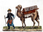 Chinese man leading a camel transporting the Emperor