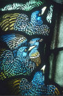 Starlings, Gilbert White Memorial Window of St Francis and the birds, Gascoyne and Hinks 1920, St Mary