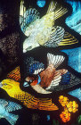 Greenfinch, Hawfinch and Yellowhammer, Gilbert White Memorial Window, St Francis and the birds, Gascoyne and Hinks 1920, St Mary