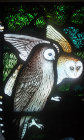 Barn owl and tawny owl, detail from the Gilbert White memorial window, St Mary