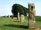 Outer circle stones in southern sector, circa 3000 BC, neolithic henge monument, Avebury, Wiltshire, England