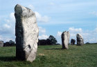 Outer circle stones in southern sector, circa 3000 BC, neolithic henge monument, Avebury, Wiltshire, England
