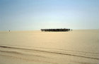 Camel caravan transporting salt