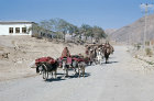 Afghanistan, Hindu Kush road to Bamiyan, the autumn migration of the nomadic Kuchi tribespeople