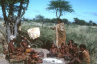 Bushman Ramonne testing strength of string, Kalahari, Southern Africa