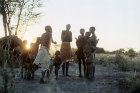 Young Bushmen and women dancing, Kalahari, Southern Africa