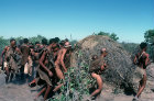 Bushmen dancing for first menstruation ritual, Kalahari, Southern Africa