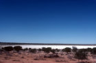 More images from Kalahari