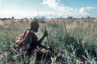 Bushman Kakwau-tee digging for roots, Kalahari, Southern Africa