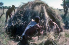 Bushmen putting finishing touches to Bushman hut, Kalahari, Southern Africa