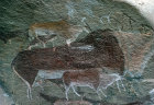 Eland cave paintings Natal, South Africa