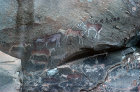 Natal Bushman cave paintings Eland Caves
