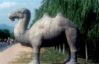 Standing camel, fifteenth century, on Sacred Way leading to Ming Tombs, China