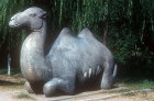 Kneeling camel, fifteenth century, on Sacred way leading to Ming Tombs, China