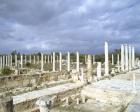 More images from Salamis