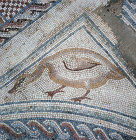 Goose, detail of fifth century mosaic floor in Roman baths, Curium, Cyprus