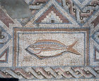 Fish, detail of fifth century mosaic floor in  Roman baths, Curium, Cyprus