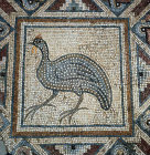 Guineafowl, detail of fifth century mosaic floor in Roman baths, Curium, Cyprus