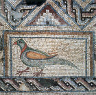 Pigeon, detail of fifth century mosaic floor in Roman baths, Curium, Cyprus