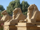 Avenue of ram-headed sphinxes, with statues of Ramesses II, Karnak, Egypt