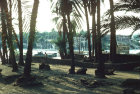 Egypt, Aswan, Elephantine Island