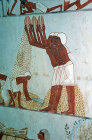Egypt Thebes, wall painting of winnowing in the tomb of Menna, tomb no 69, circa 1422-1411 BC