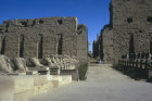 Temple of Amun, first pylon and avenue of ram-headed sphinxes, Karnak, Egypt