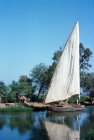 More images from Nile delta